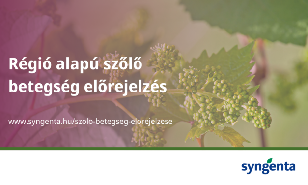 A szőlő hatékony növényvédelme nem kizárólag a permetezéseken múlik