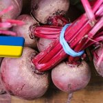 Ukrajna: júniusban is rekordszinten a cékla ára 