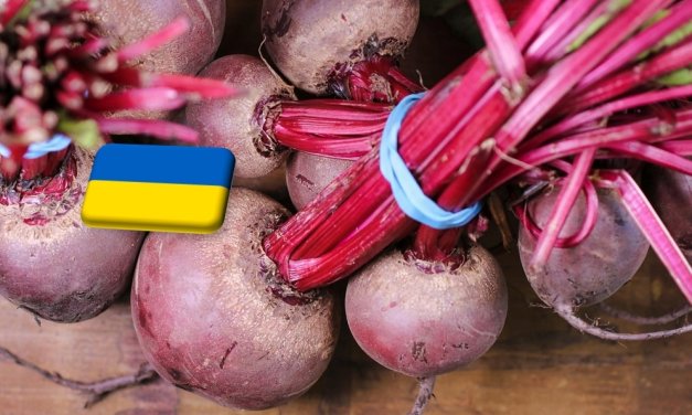 Ukrajna: júniusban is rekordszinten a cékla ára 