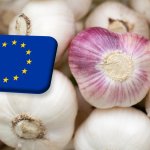 Európai piacok: a nagy kínai fokhagymatermés nem feltétlenül vezet alacsony árakhoz 