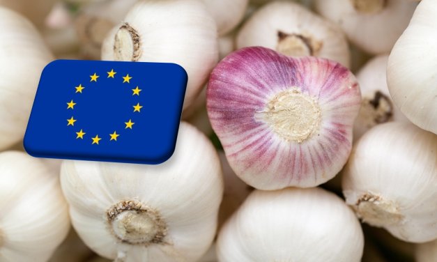 Európai piacok: a nagy kínai fokhagymatermés nem feltétlenül vezet alacsony árakhoz 