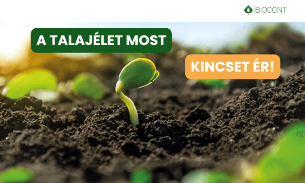 A talajélet most kincset ér! (x)