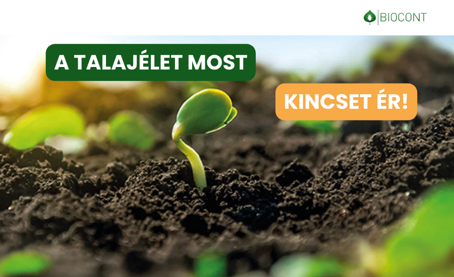 A talajélet most kincset ér! (x)