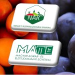 MEGHÍVÓ: Kajszi és szilva gyümölcstermesztési szakmai nap (Cegléd, július 23., szerda) 