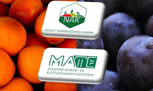 MEGHÍVÓ: Kajszi és szilva gyümölcstermesztési szakmai nap (Cegléd, július 23., szerda) 