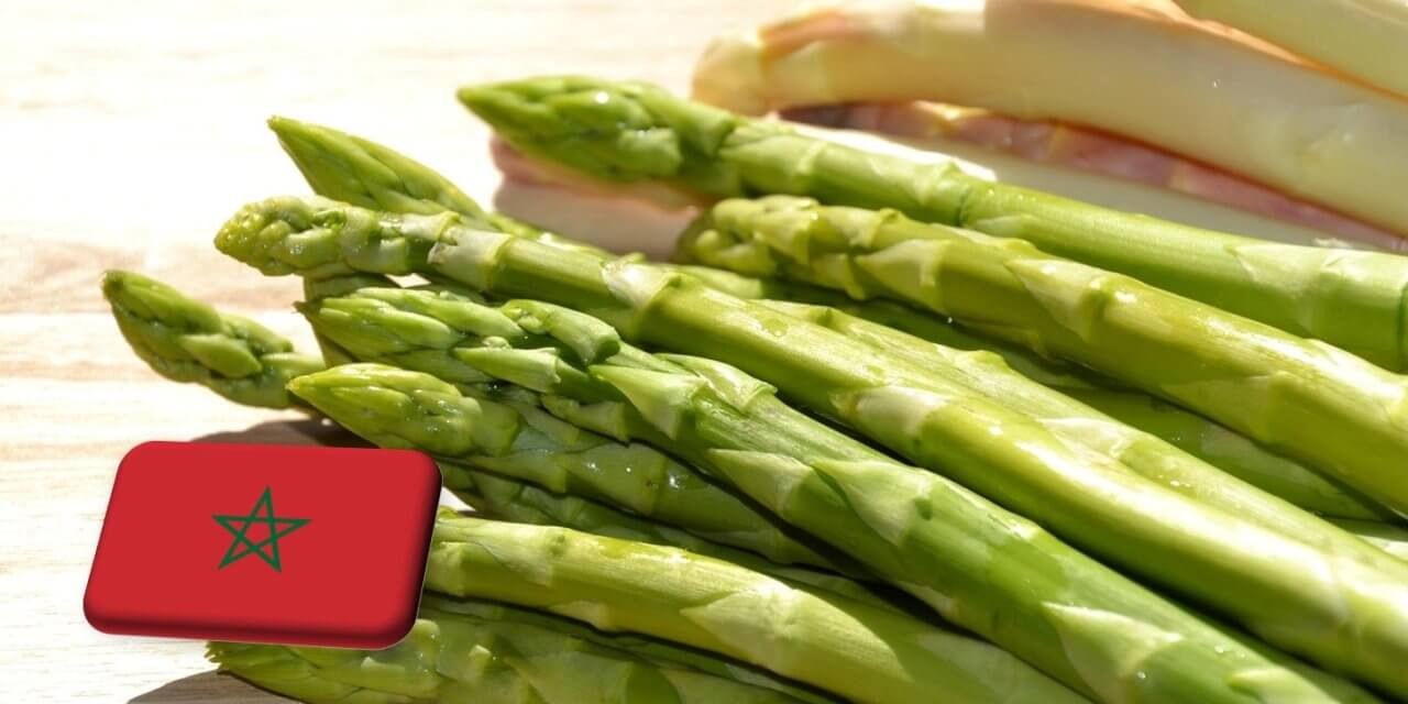 Marokkó: évről-évre jelentősen nő a spárgaexport volumene 