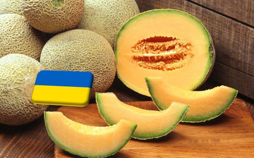 Ukrajna: átmeneti hiány a sárgadinnye piacán 