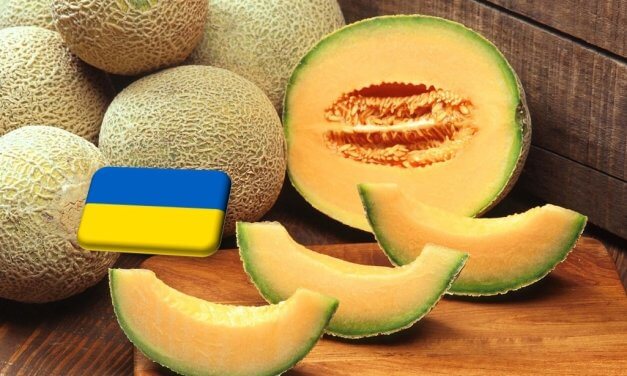 Ukrajna: átmeneti hiány a sárgadinnye piacán 