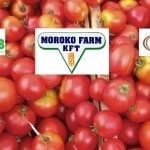 MEGHÍVÓ: ipari paradicsom fajtabemutató (augusztus 27., Szarvas) 