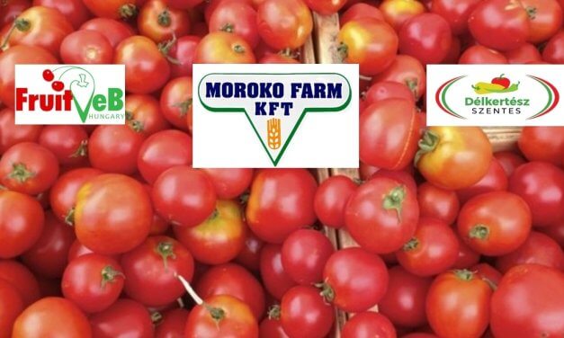 MEGHÍVÓ: ipari paradicsom fajtabemutató (augusztus 27., Szarvas) 