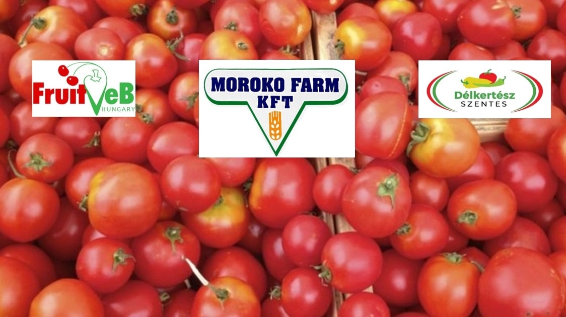 MEGHÍVÓ: ipari paradicsom fajtabemutató (augusztus 27., Szarvas) 