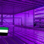 Dubai: megkezdődik a 200 toronyból álló GigaFarm építése a zöldségimport kiváltására 