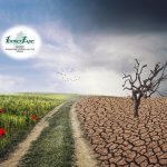 Beszámoló “A klimatikus stresszhatások kezelésének lehetőségei a gyümölcstermesztésben” konferenciáról – Letölthető előadásokkal 