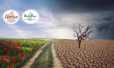 Beszámoló “A klimatikus stresszhatások kezelésének lehetőségei a gyümölcstermesztésben” konferenciáról – Letölthető előadásokkal 