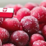 Lengyelország: volumenben csökkent, értékben nőtt a fagyasztott meggy exportja az első félévben 