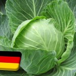 Németország: értékesítési problémák a káposzta piacán 