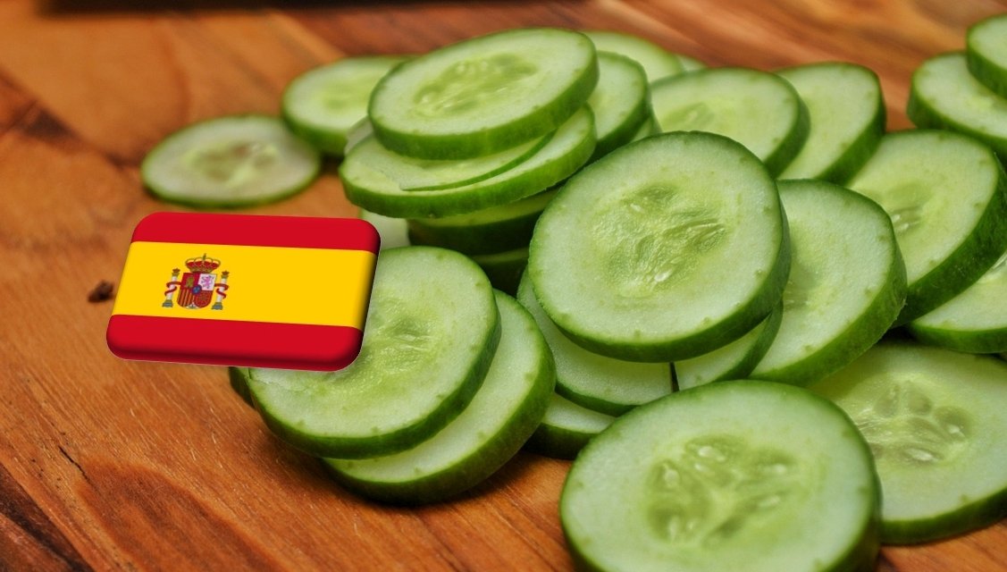Spanyolország: rekordot döntött az első féléves uborkaexport Almeríában 