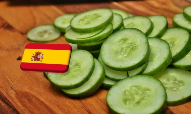 Spanyolország: rekordot döntött az első féléves uborkaexport Almeríában 