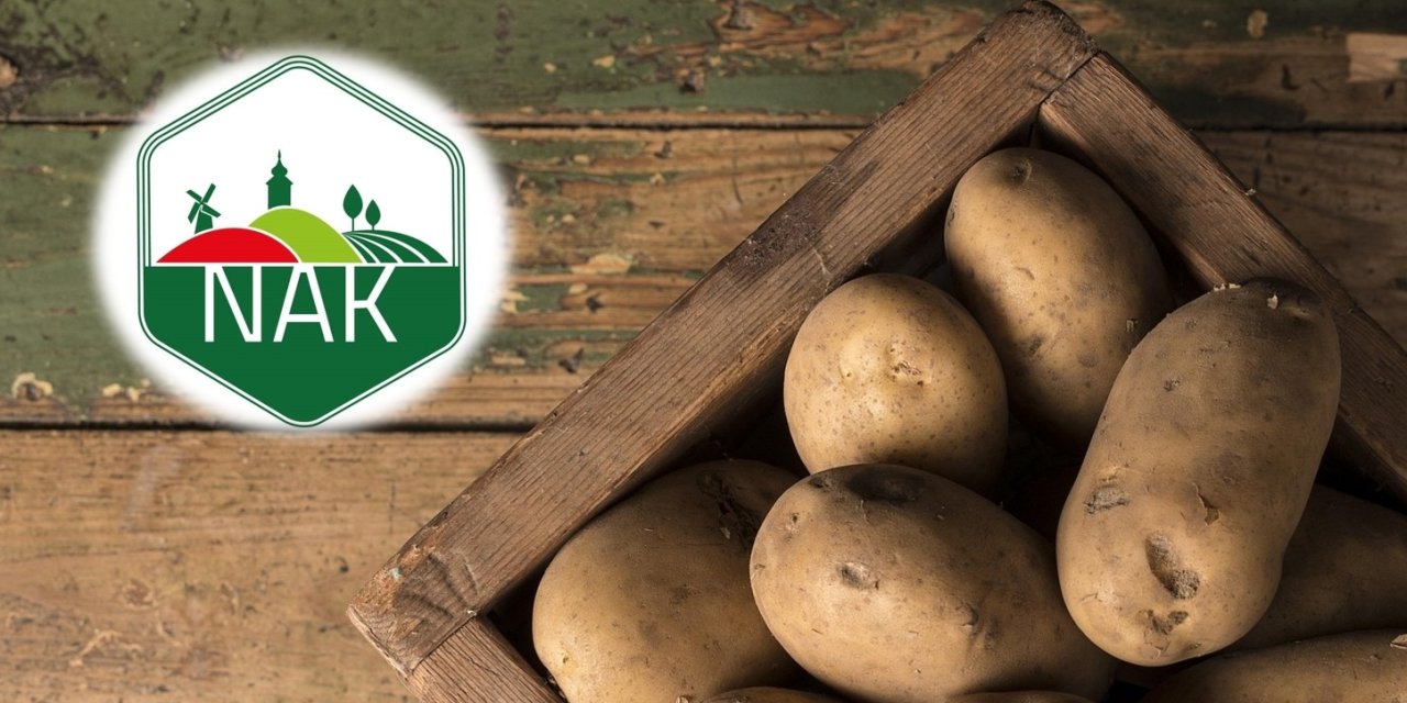 MEGHÍVÓ: Burgonya szakmai nap (Dunaharaszti, október 3.) 