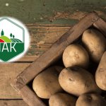 MEGHÍVÓ: Burgonya szakmai nap (Dunaharaszti, október 3.) 