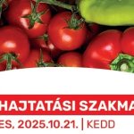 MEGHÍVÓ: Őszi hajtatási szakmai nap (Szentes, október 21., kedd) 