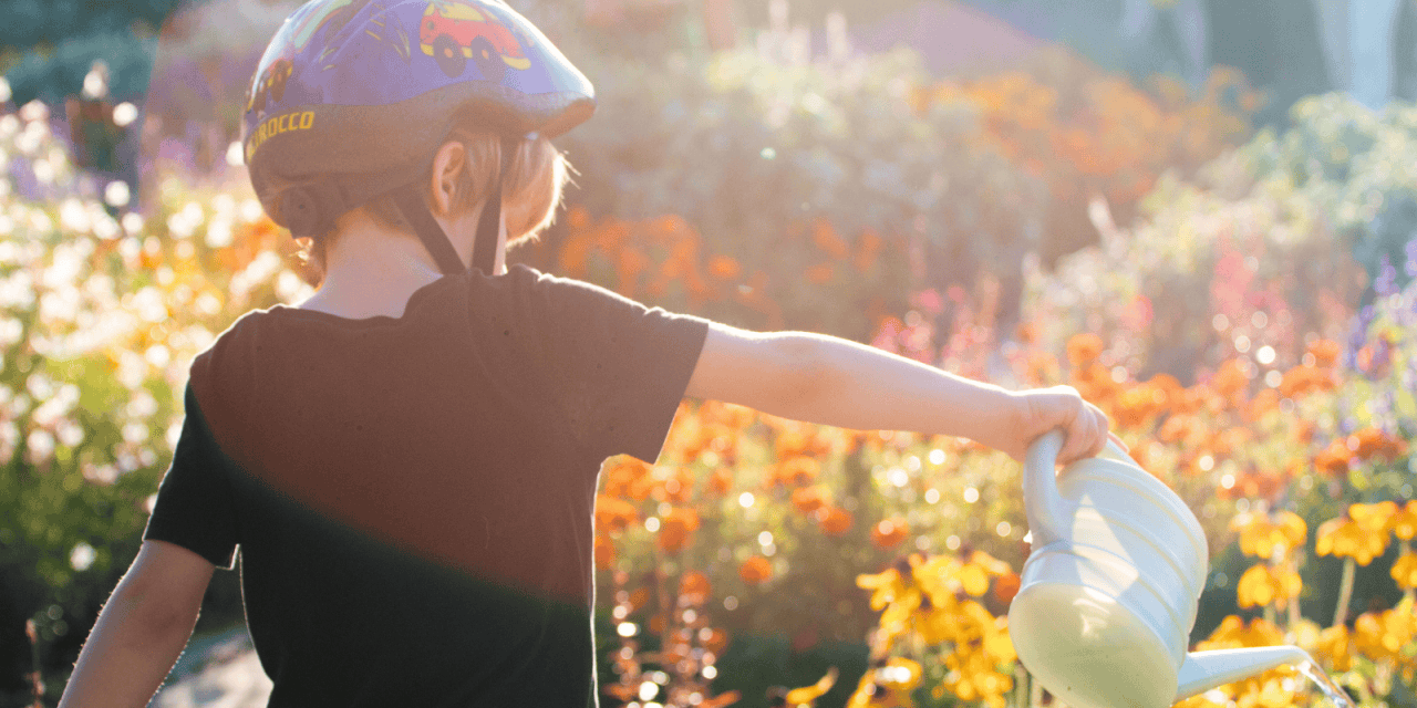 10 millió fa: 1%-ból 10 millió fát!