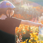 10 millió fa: 1%-ból 10 millió fát!