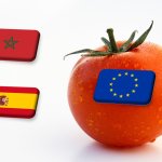 Spanyolország: élesen bírálja a FEPEX az EU-Marokkó megállapodást 