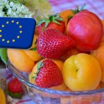 EU: stabil hozamokkal zárt a kertészeti ágazat az előző évet 