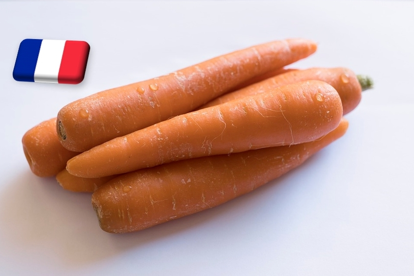 Franciaország: 2%-kal bővül az idei sárgarépatermés a tavalyi szinthez képest 