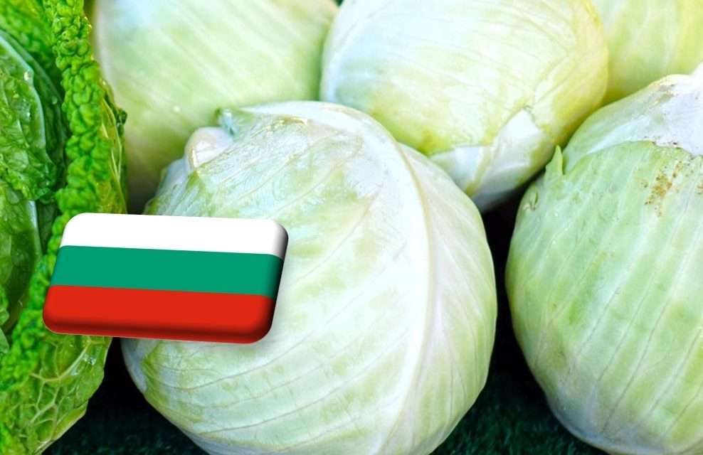 Bulgária: önköltség alatti a káposzta felvásárlási ára 