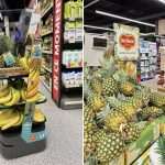 TECH: gyümölcsöt árul BOB, a beszélő robot 