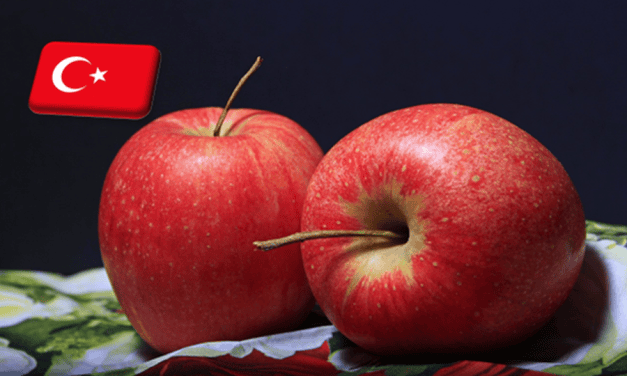 Törökország: átmenetileg leállította az alma exportját a kormány 