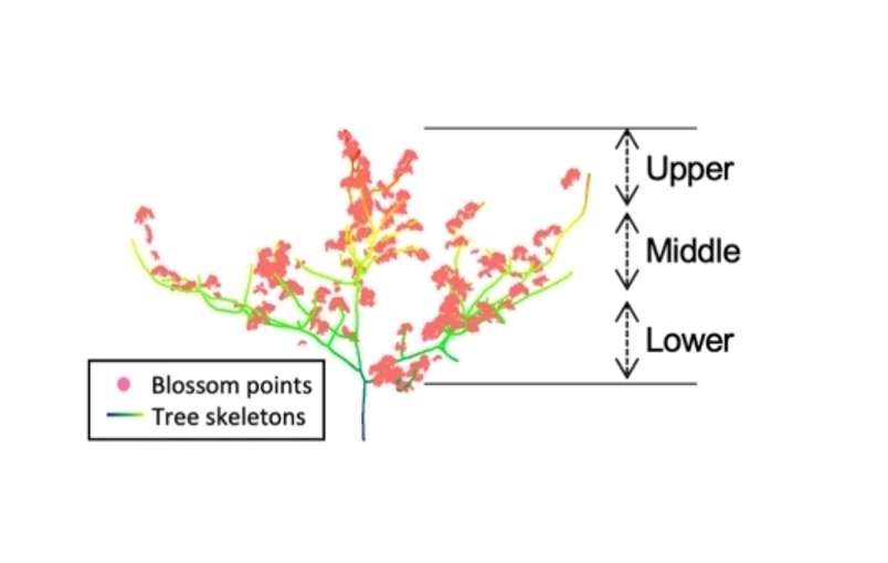 TECH: új 3D rendszer segíti a gyümölcsültetvények művelését 