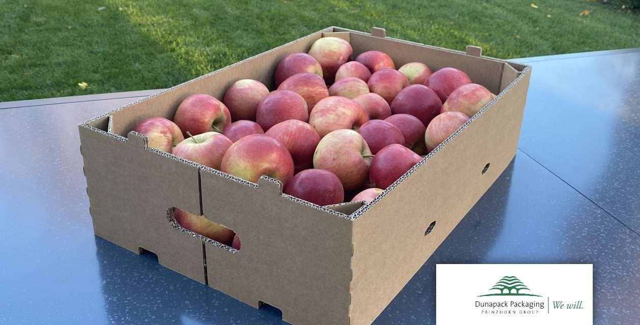 Új, fenntartható hullámpapír rekesz a Dunapacktól – korszerű megoldás a zöldség-gyümölcs csomagolásban