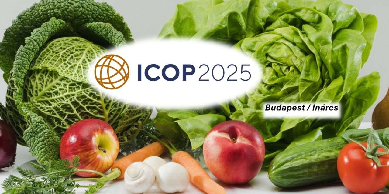 Beszámoló: az ICOP nemzetközi konferenciáról  