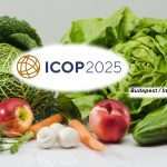 Beszámoló: az ICOP nemzetközi konferenciáról  