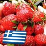 Görögország: egyre súlyosbodó munkaerőhiány veszélyezteti a mezőgazdaságot 