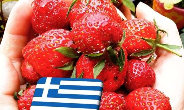 Görögország: egyre súlyosbodó munkaerőhiány veszélyezteti a mezőgazdaságot 