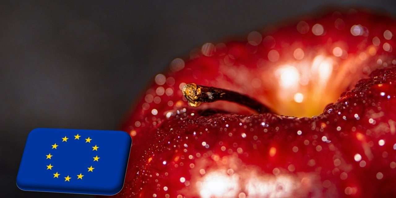 EU: gyorsan csökkenő almaárak a szezon korai szakaszában 