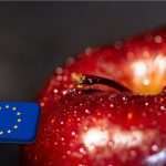 EU: gyorsan csökkenő almaárak a szezon korai szakaszában 