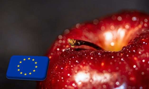 EU: gyorsan csökkenő almaárak a szezon korai szakaszában 