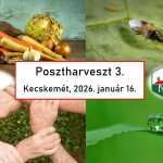 MEGHÍVÓ: Posztharveszt 3 szakmai nap – Kecskemét, január 16. 