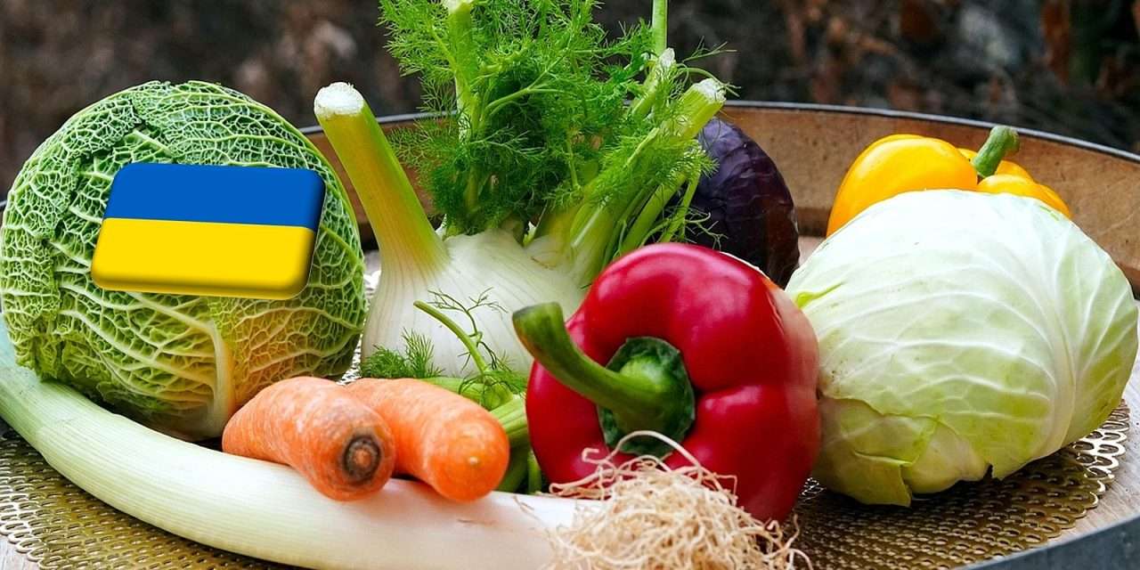 Ukrajna: túltermelés a szántóföldi zöldségek piacán 