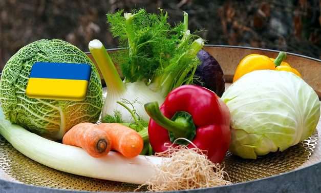 Ukrajna: túltermelés a szántóföldi zöldségek piacán 