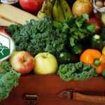 NAK: 2027-ig európai cselekvési terv készül a földrajzi árujelzős termékek pozíciójának megerősítésére 