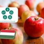 AM: A magyar alma biztonságos és kiváló minőségű 