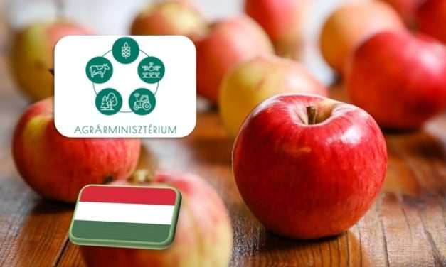 AM: A magyar alma biztonságos és kiváló minőségű 