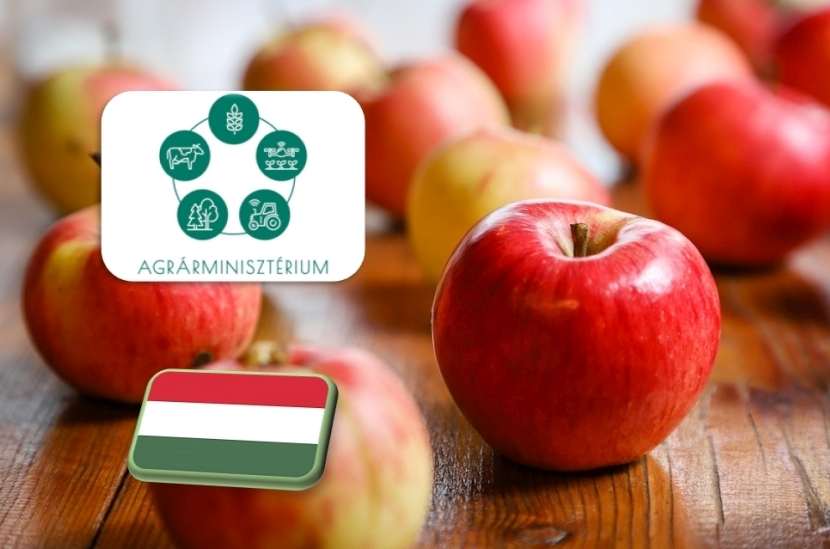 AM: A magyar alma biztonságos és kiváló minőségű 