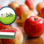 Nébih: Biztonságosan fogyaszthatóak a hazai termésű almák 